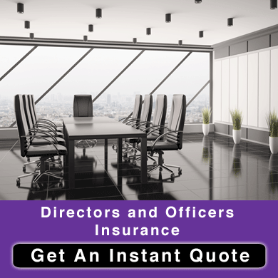 directors_and_officers_insurance